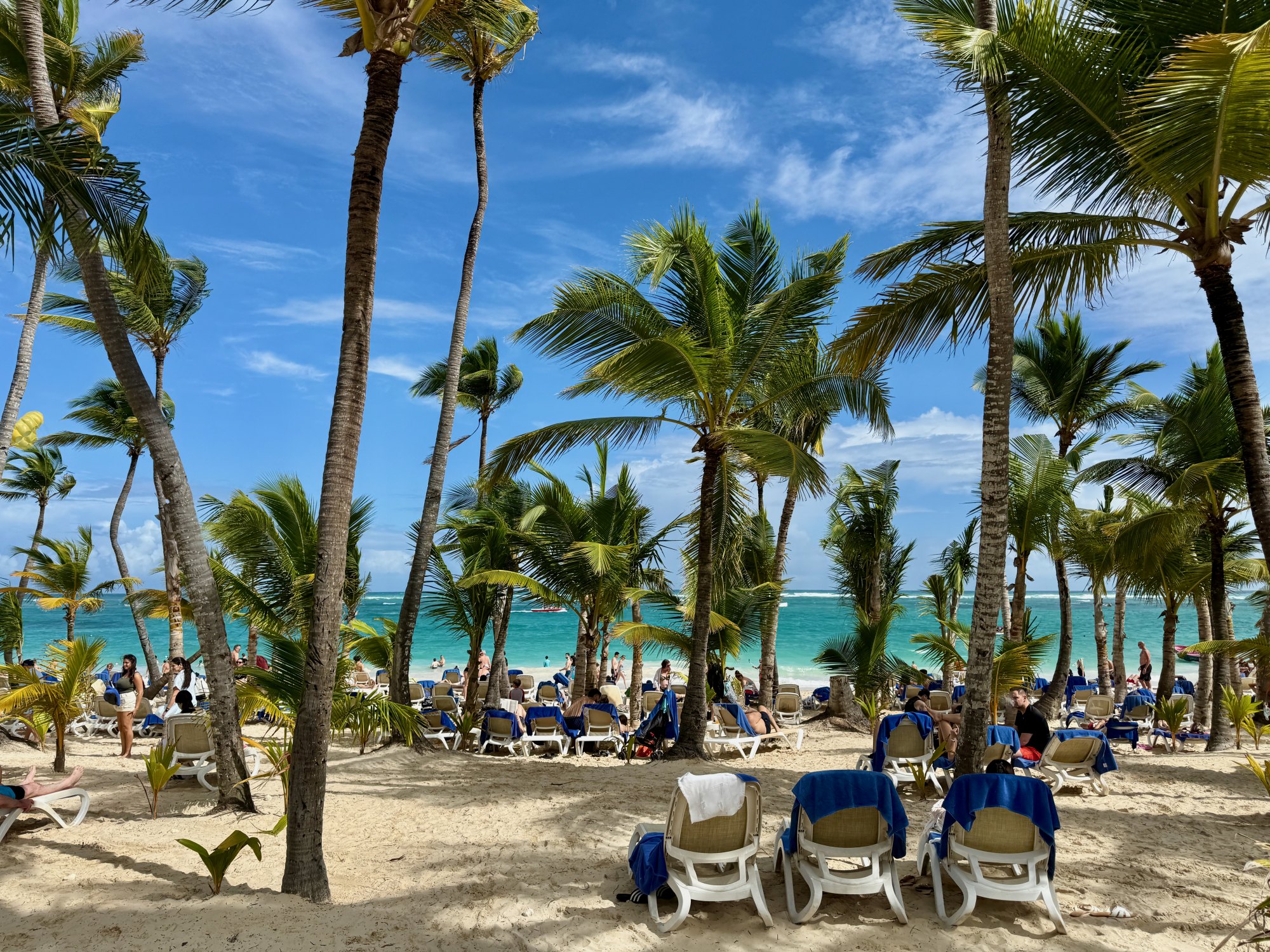Photograph of Bávaro Beach, Punta Cana: coconut palms leaning over white sand lined with loungers, the shore River Island owners reach on a 5-minute drive.