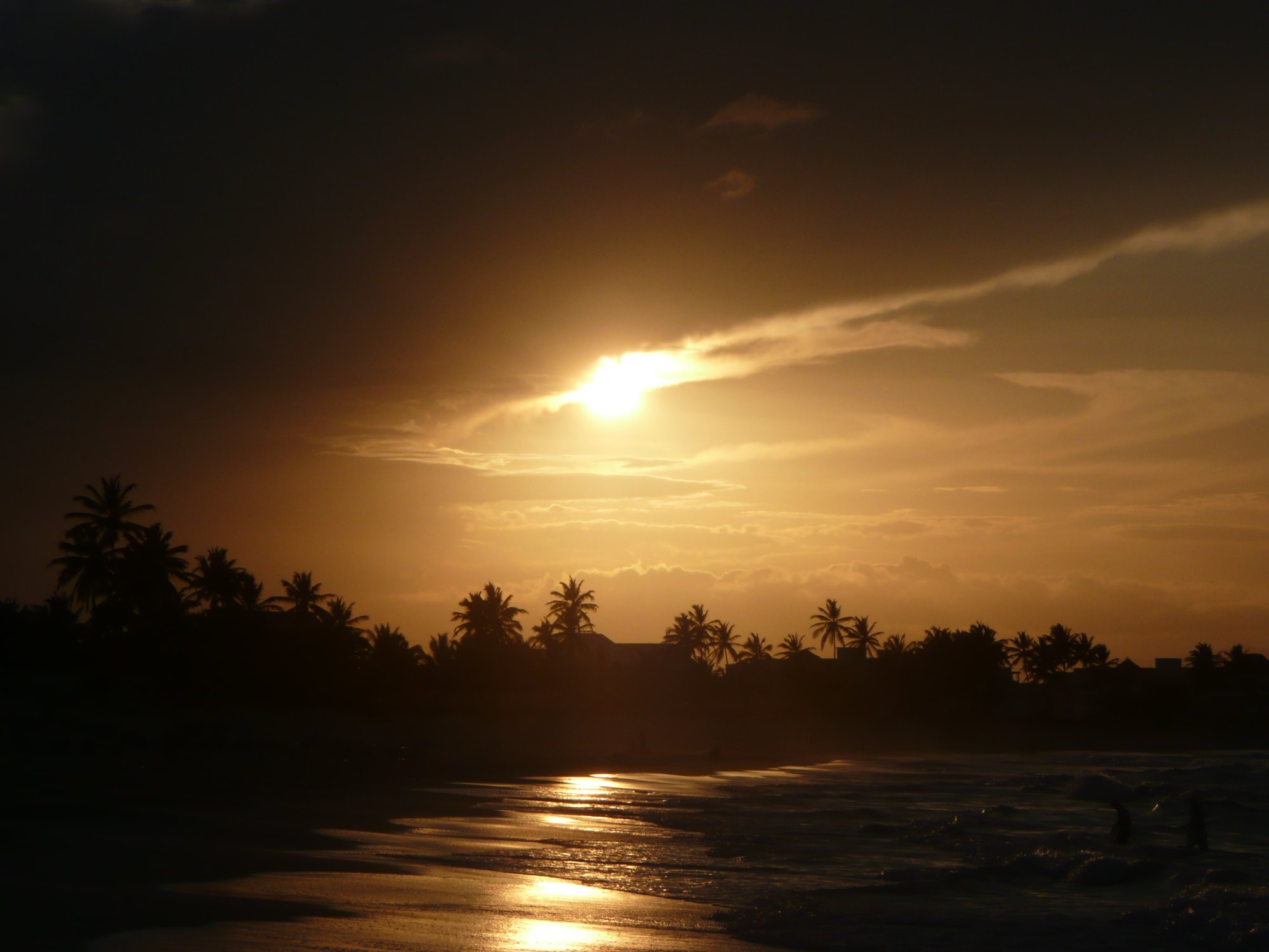 Photographie du soleil couchant sur le sable et la ligne de palmiers de la côte de Punta Cana, le rivage qu'une cérémonie à Bávaro a devant elle, et non River Island.